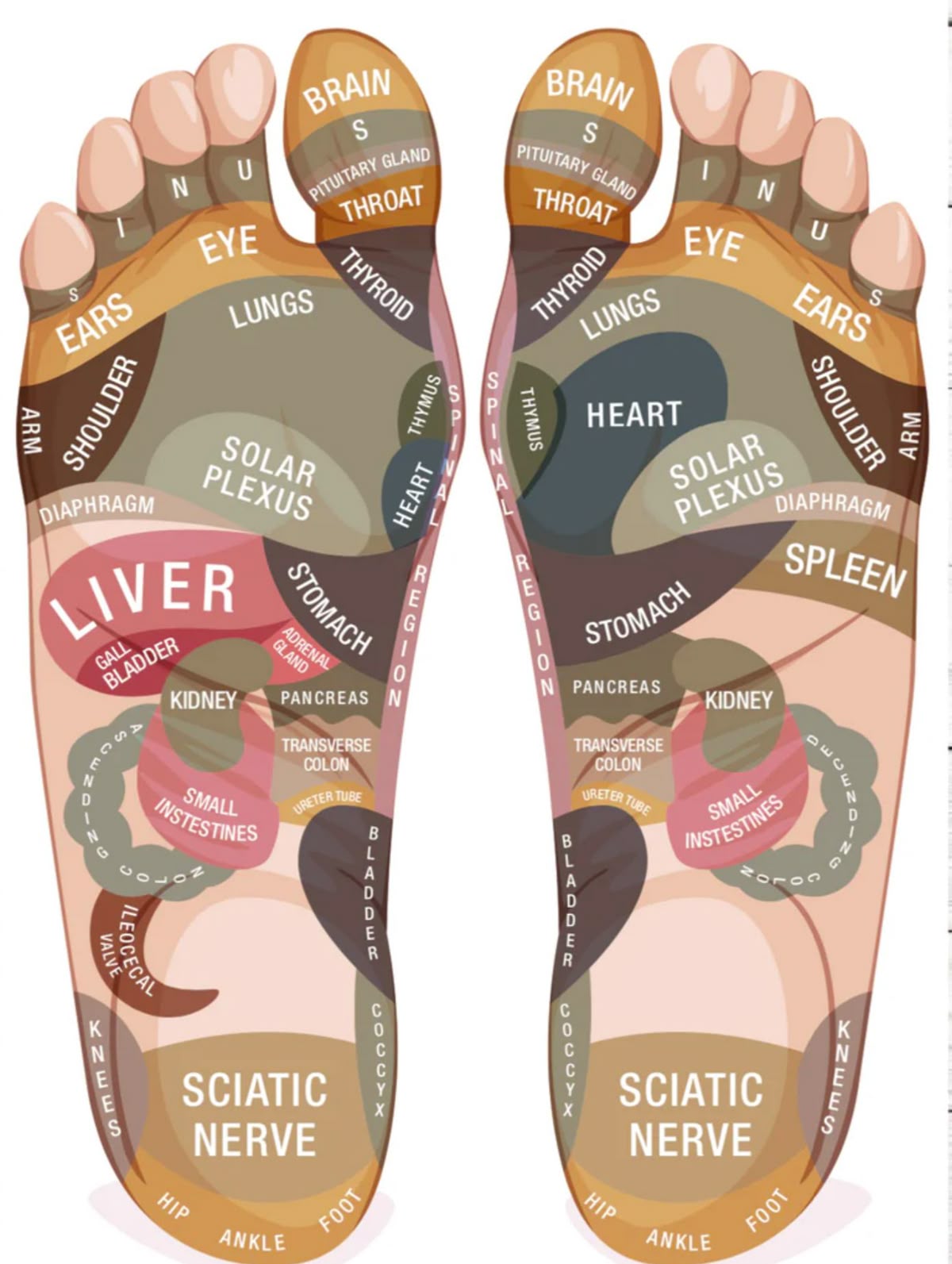 Wooden Roller Foot Massager